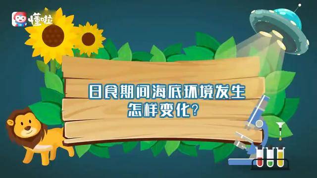 本泽马金球奖赛季,皇马欧冠夺冠核心