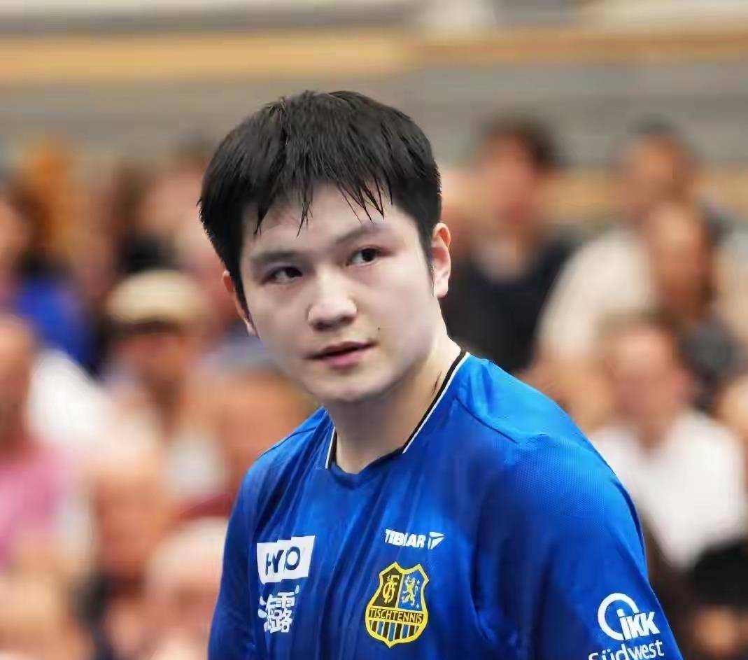 樊振东德甲首赢!队长陪练到流汗,每分都拼得稳当