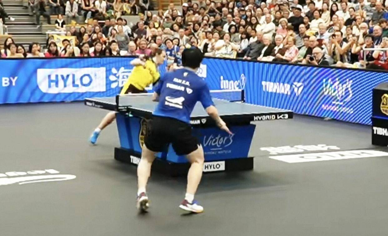 德甲3连胜!樊振东轰出首个3-0,22分钟横扫演倒地爆冲